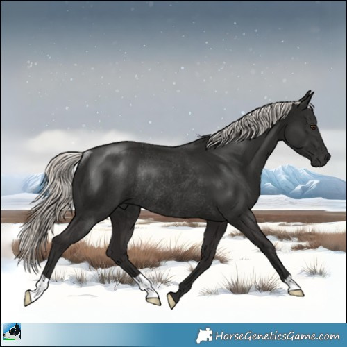 Horse Color:Liver Chestnut Mushroom Rabicano 