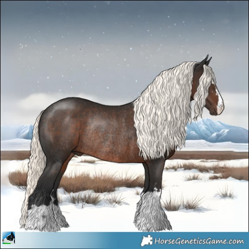 Horse Color:Liver Chestnut Mushroom Rabicano 