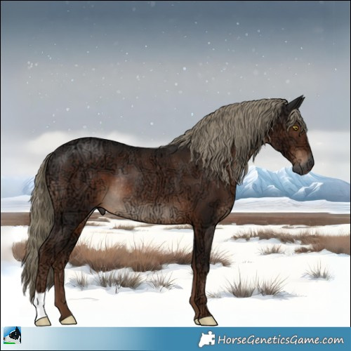 Horse Color:Gray Liver Chestnut Ice Mushroom Rabicano 