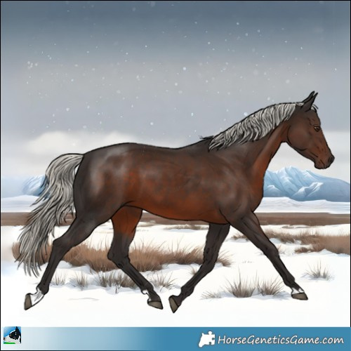 Horse Color:Liver Chestnut Mushroom 