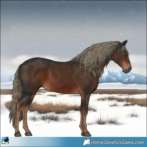 Horse Color:Gray Liver Chestnut Mushroom 