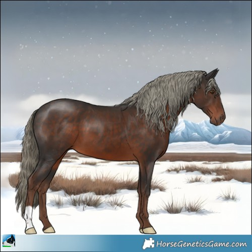 Horse Color:Liver Chestnut Mushroom 