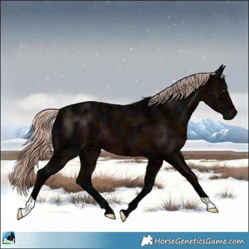 Horse Color:Midnight Liver Chestnut Ice Mushroom 