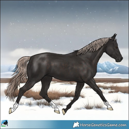 Horse Color:Liver Chestnut Mushroom 
