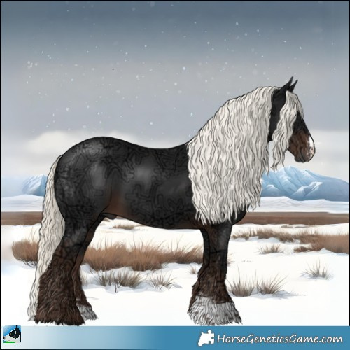 Horse Color:Liver Chestnut Ice Mushroom Sabino Rabicano 