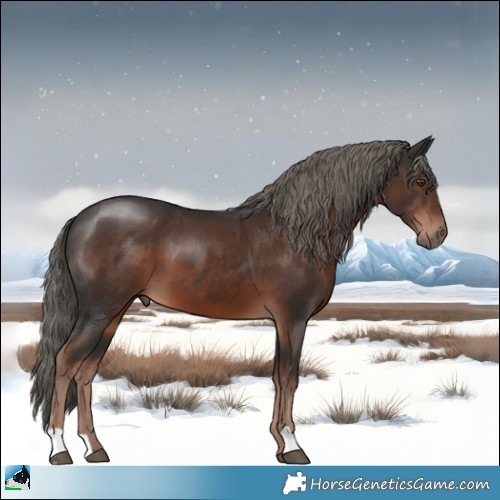 Horse Color:Liver Chestnut Mushroom 