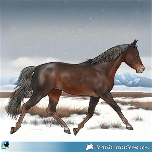 Horse Color:Liver Chestnut Mushroom Sabino 