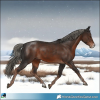 Horse Color:Liver Chestnut Mushroom Sabino 