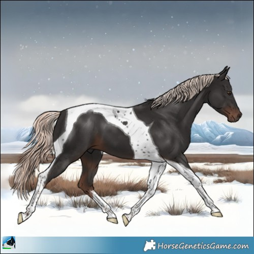 Horse Color:Liver Chestnut Mushroom Tobiano 