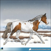 Horse Color:Chocolate Palomino Mushroom Tobiano 