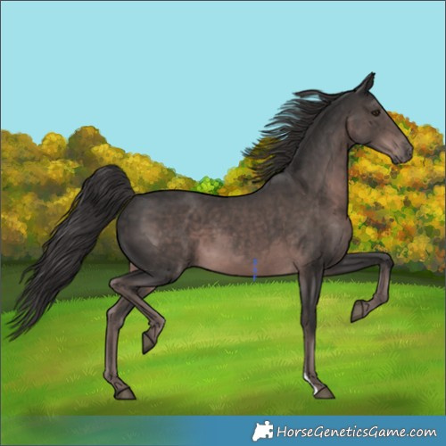 Horse Color:Platinum Liver Chestnut 