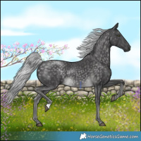 Horse Color:Platinum Silver Buckskin 