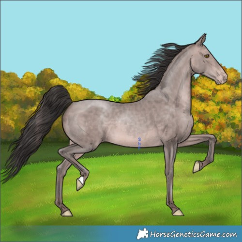 Horse Color:Platinum Sable Champagne 