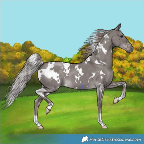 Horse Color:Platinum White Spotted Liver Red Dun 