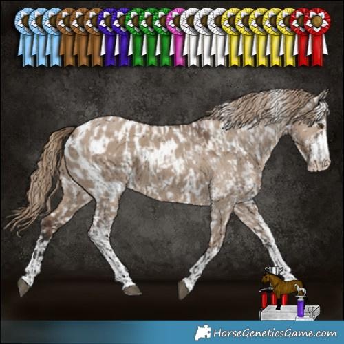 Horse Color:Liver Red Dun Sabino Appaloosa  and Liver Red Dun Sabino Appaloosa 