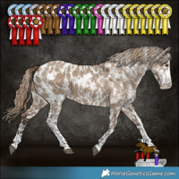 Horse Color:Liver Red Dun Sabino Near Leopard and Liver Red Dun Sabino Blanket