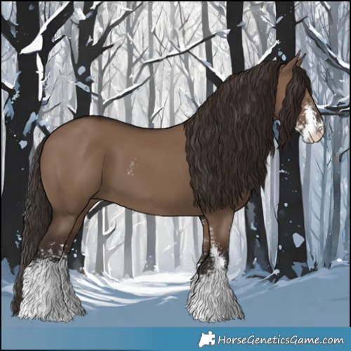 Horse Color:Liver Red Dun Sabino 