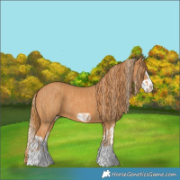 Horse Color:Chestnut Splash Frame  and Chestnut Splash Frame 