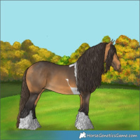 Horse Color:Buckskin Tobiano 