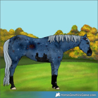 Horse Color:ERROR: UNKNOWN ANOMALY