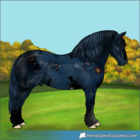 Horse Color:ERROR: UNKNOWN ANOMALY