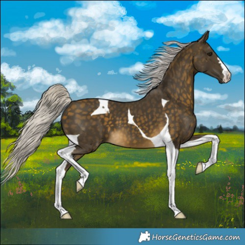 Horse Color:Silver Buckskin Tobiano