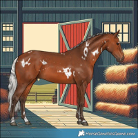 Horse Color:White Spotted Silver Brown