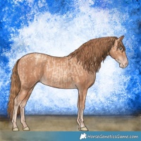 Horse Color:Gold Champagne Pearl Rabicano  and Gold Champagne Rabicano 
