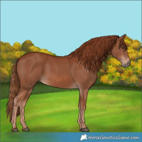 Horse Color:Chestnut 