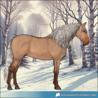 Horse Color:Silver Bay Dun 