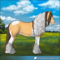 Horse Color:Amber Cream Champagne Tobiano