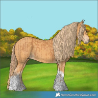 Horse Color:Chestnut Tobiano and Chestnut Tobiano