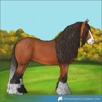 Horse Color:Bay  and Bay Splash 