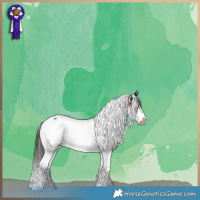 Horse Color:Liver Chestnut Tobiano Frame Near Leopard 
