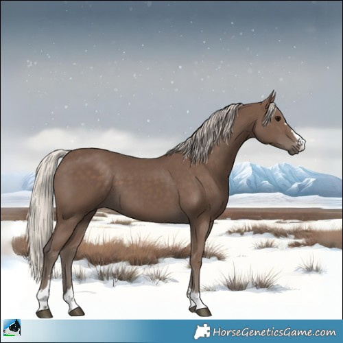 Horse Color:Silver Black 