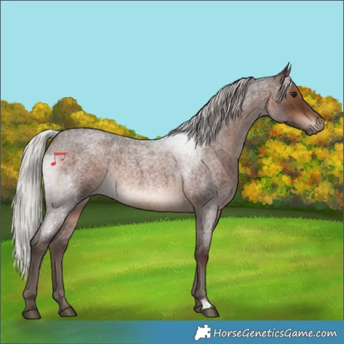 Horse Color:Silver Brown Roan Rabicano 