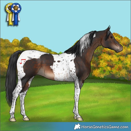 Horse Color:Brown Tobiano 