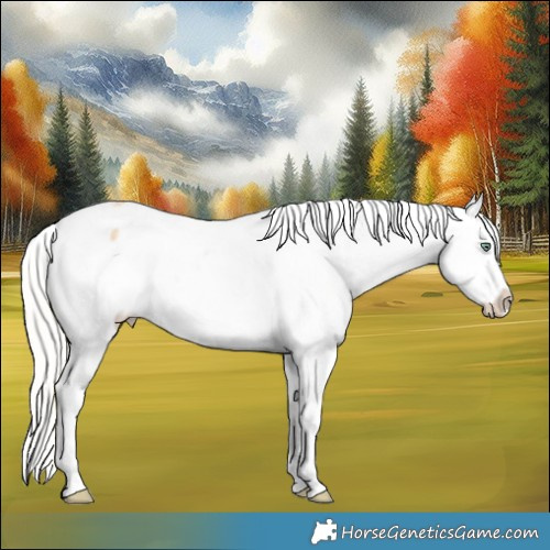 Horse Color:Silver Amber Champagne Dun Splash Appaloosa 