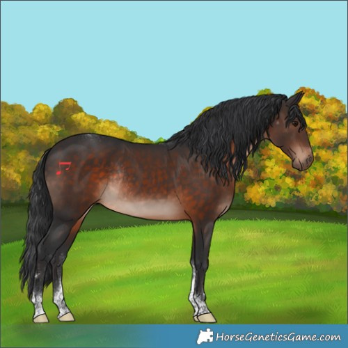 Horse Color:Brown Tobiano Rabicano 