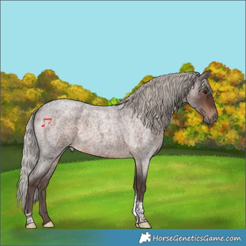 Horse Color:Silver Brown Roan Tobiano Rabicano 