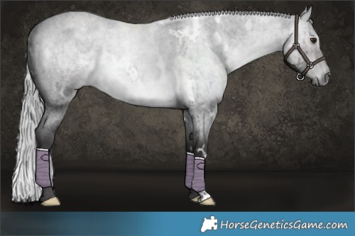 Horse Color:Platinum White Spotted Silver Buckskin Roan Dun Brindle 
