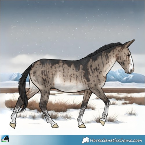 Horse Color:Brown Dun Rabicano Brindle