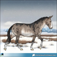 Horse Color:Brown Dun Rabicano Brindle 