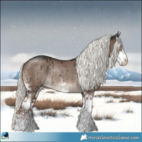 Horse Color:Liver Red Dun Mushroom Sabino Rabicano Brindle 