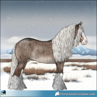 Horse Color:Liver Red Dun Mushroom Splash Rabicano Brindle 