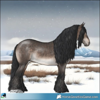Horse Color:Brown Dun Mushroom Rabicano Brindle 