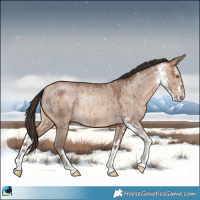 Horse Color:Sable Champagne Dun Sabino Rabicano Brindle 