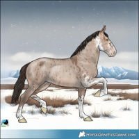 Horse Color:Sable Champagne Dun Sabino Rabicano Brindle 
