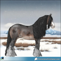 Horse Color:Brown Ice Mushroom Sabino Rabicano