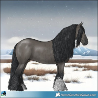 Horse Color:Grullo Mushroom Sabino Rabicano Brindle